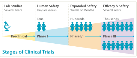 Stages of Clinical Trials